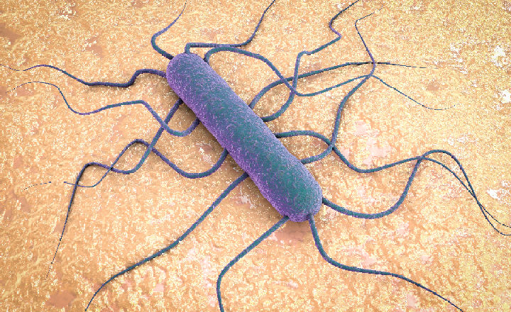 1921 Merck Listeria